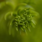 利来娱乐:探索多元化娱乐体验的全新平台 0dbcd