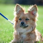 全面解析宝威体育app下载:功能特点与用户体验评测 nu3fx