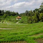 380开奖记灵:幸运号码揭晓时刻全记录 6c5dvzt