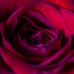 39次林李大战巅峰对决直播,重温经典羽坛传奇时刻 p03jl892w